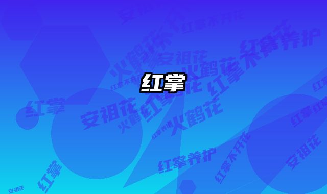 红掌