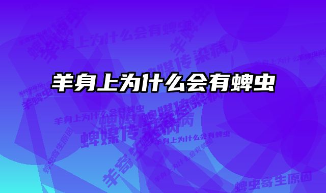 羊身上为什么会有蜱虫