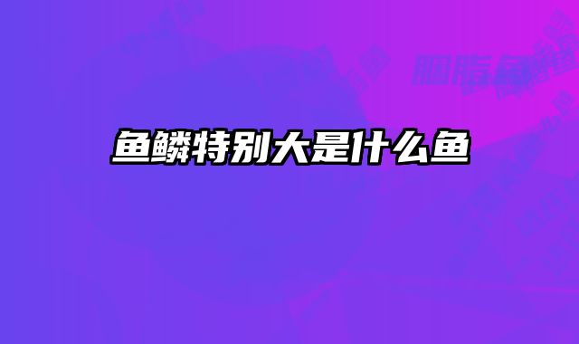 鱼鳞特别大是什么鱼
