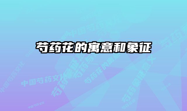 芍药花的寓意和象征 