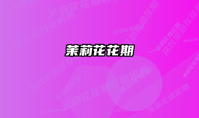 茉莉花花期