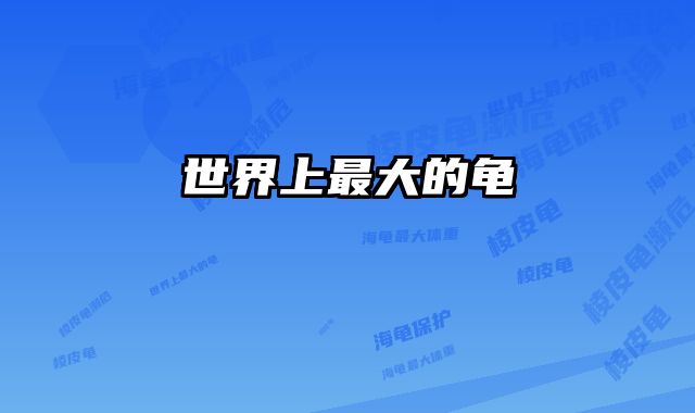 世界上最大的龟 