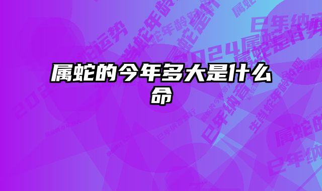 属蛇的今年多大是什么命