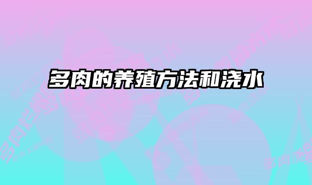 多肉的养殖方法和浇水