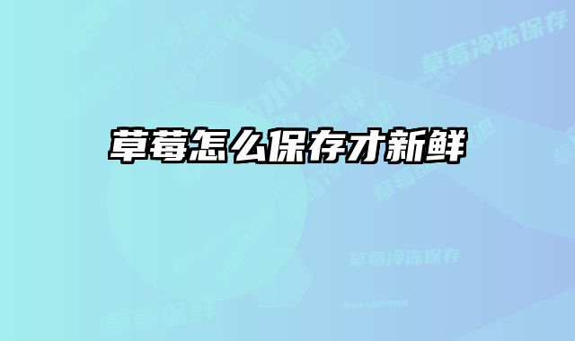 草莓怎么保存才新鲜