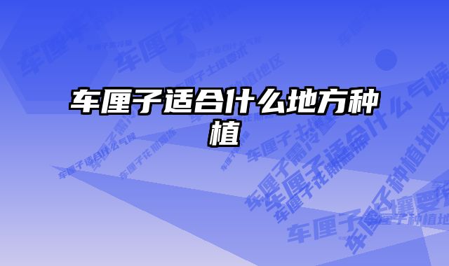车厘子适合什么地方种植