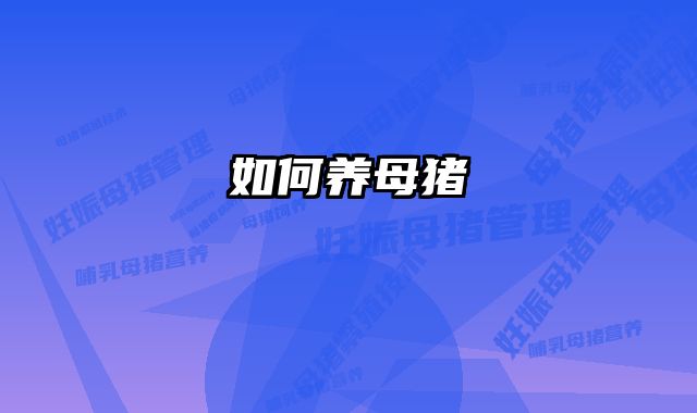 如何养母猪 