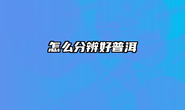 怎么分辨好普洱 