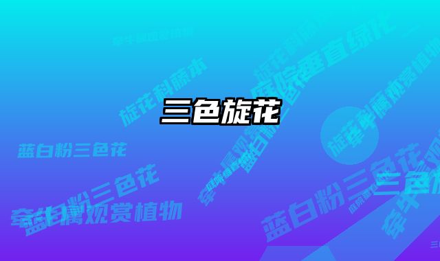三色旋花 