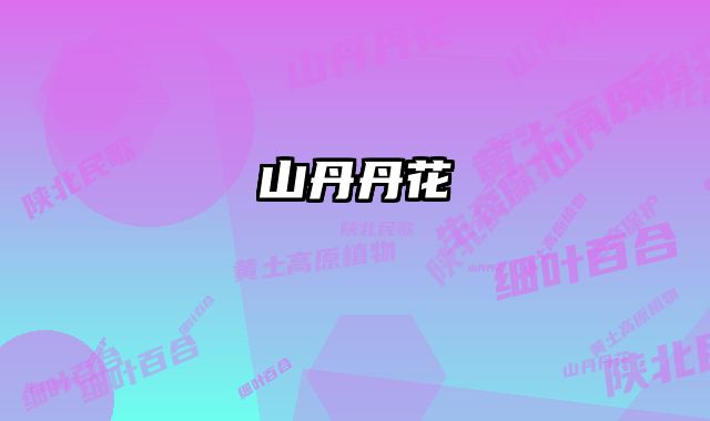 山丹丹花 