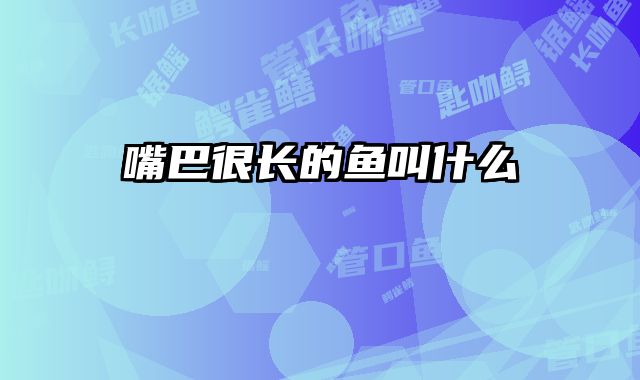 嘴巴很长的鱼叫什么