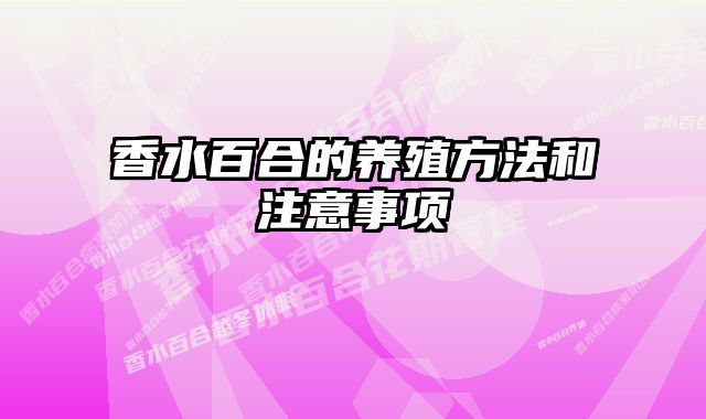香水百合的养殖方法和注意事项 