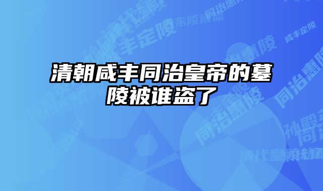 清朝咸丰同治皇帝的墓陵被谁盗了