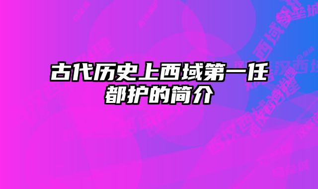 古代历史上西域第一任都护的简介