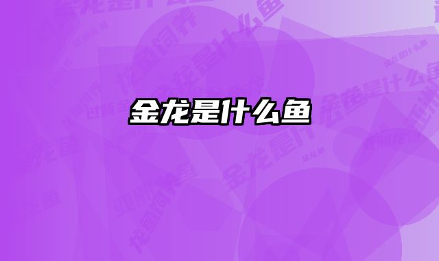 金龙是什么鱼