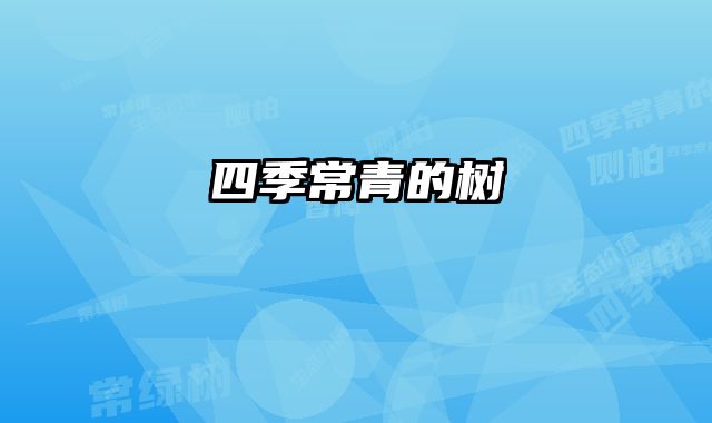 四季常青的树