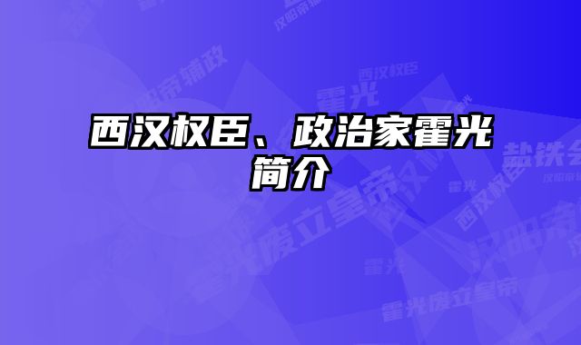 西汉权臣、政治家霍光简介
