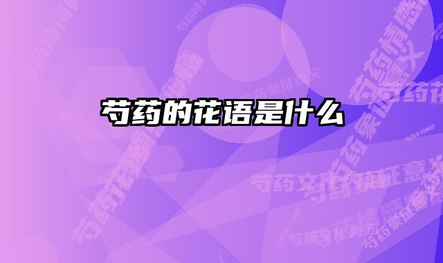芍药的花语是什么