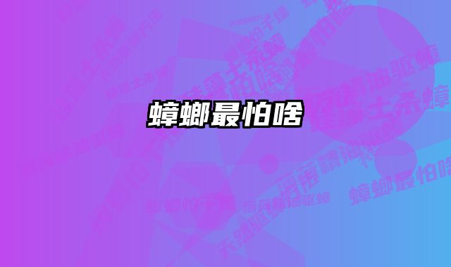 蟑螂最怕啥 