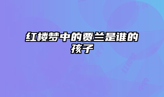 红楼梦中的贾兰是谁的孩子 
