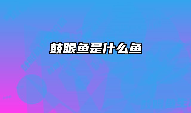 鼓眼鱼是什么鱼