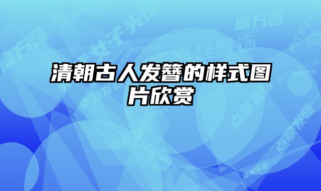 清朝古人发簪的样式图片欣赏