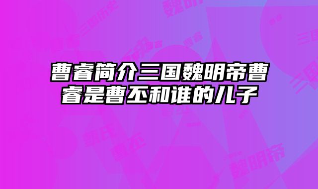 曹睿简介三国魏明帝曹睿是曹丕和谁的儿子 