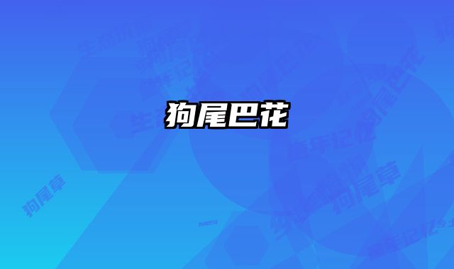 狗尾巴花 