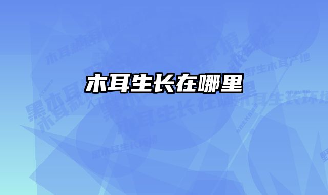 木耳生长在哪里 